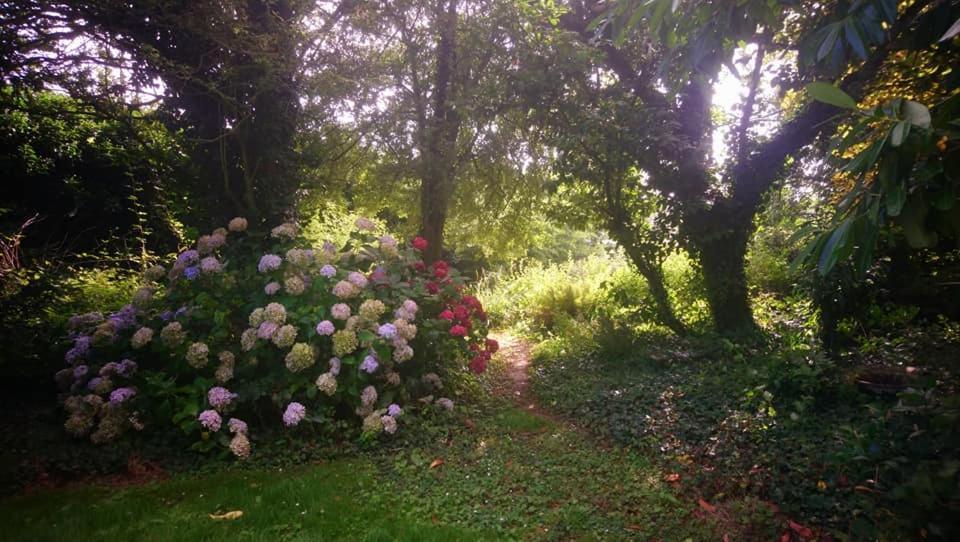 La Nouvelle Criqueboise Bed and Breakfast Criquebeuf-en-Caux Εξωτερικό φωτογραφία